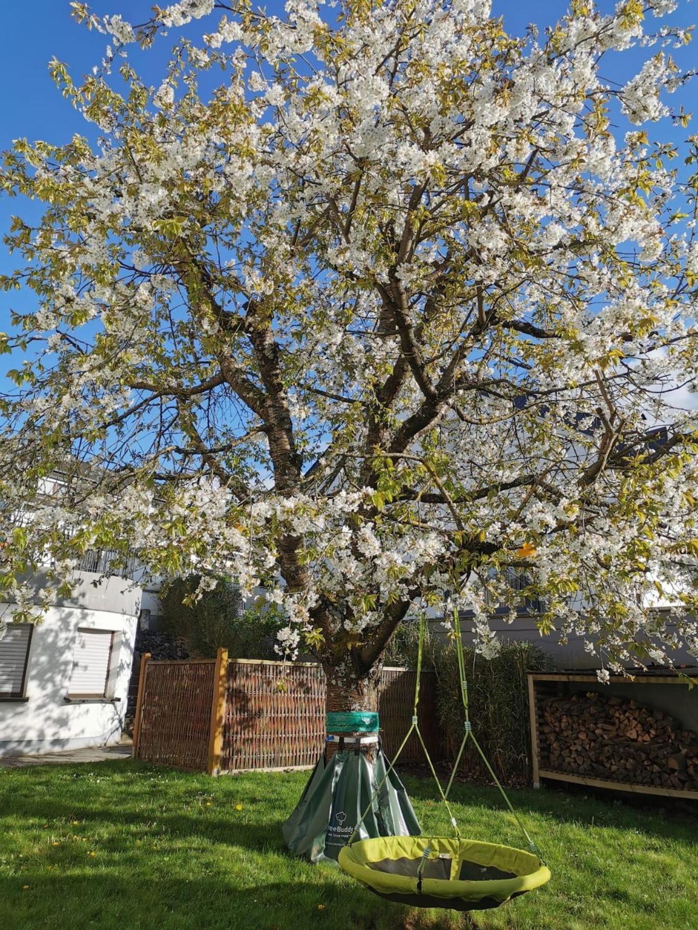 Ferienwohnung Hedi Konz Bagian luar foto